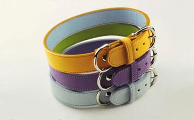 Lily Spring collars