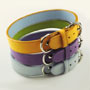 Lily Spring collars